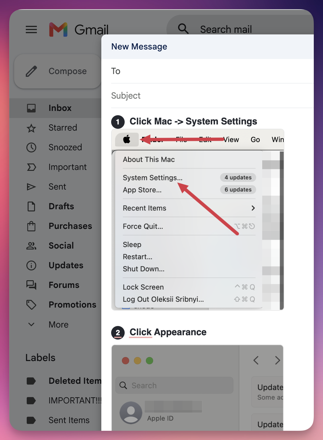 A quick guide pasted into a Gmail reply